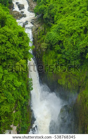 Landscape of Tropical rain forest, Asia