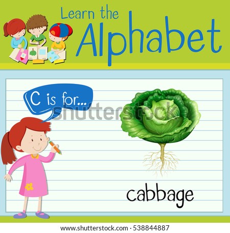 Flashcard letter C is for cabbage illustration