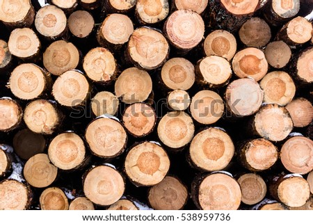 A stacked heap of chopped logs from pine retain their bark and show off their concentric rings.