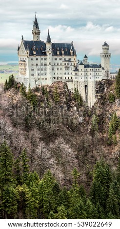 Neuschwanstein castle in the Bavaria Alps (view from the bridge) - Germany 