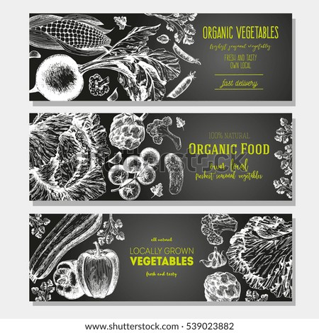 Set of banners with hand-drawn vegetables. Vector illustration for vegetables market. Vertical banner collection. Vintage elements for design.
