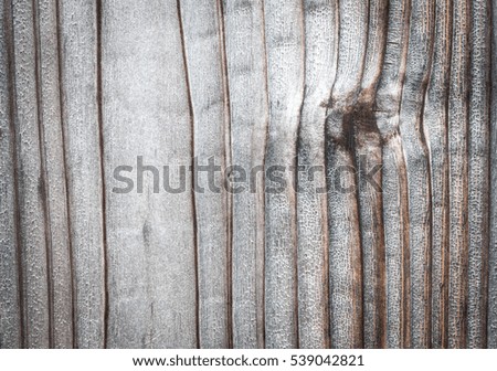 old wood Background.photo