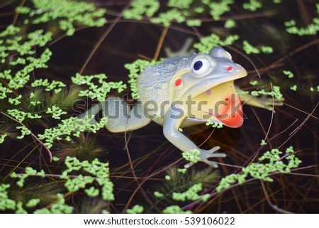 fake frog in the pond water background