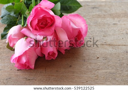 Beautiful pink rose on wooden background 