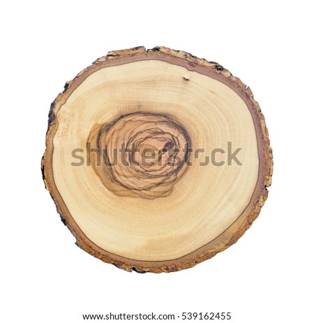 Piece of flat round wood isolated on the white background. Wavy wooden pattern with dark rings and irregular edges