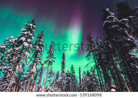 Beautiful picture of massive multicolored green vibrant Aurora Borealis, Aurora Polaris, also know as Northern Lights in the night sky over winter Lapland landscape, Norway, Scandinavia
 Royalty-Free Stock Photo #539168098