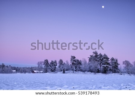 Snowy winter landscape in the countryside, in late afternoon, with full moon.