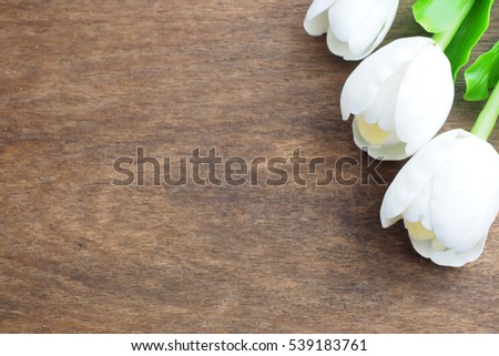 Three white tulips on wooden background.