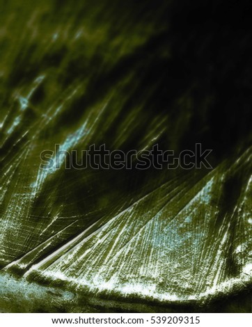Timber industry natural abstract background: rough surface of wood log end with growth rings, cracks, splits and scratches closeup