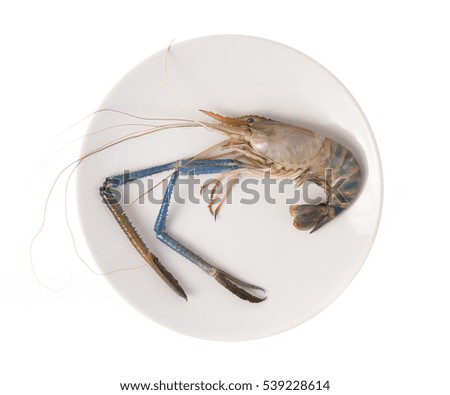 fresh jumbo shrimp on a dish isolated on white background