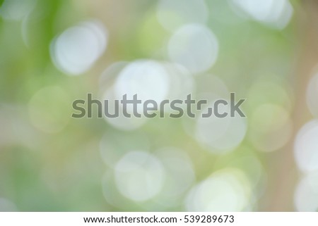 Green bokeh background from nature
