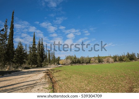 Forest trees with blue cloudy sky background.