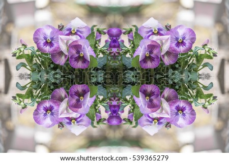 Abstract arrangement of flowers overhead view. Flat lay of petals creative bohemian mandala for social media timeline, invitation greeting card, vintage wedding blog. Image with symmetry filter effect