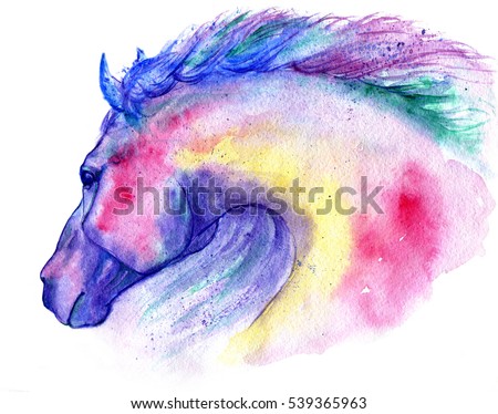 Horse head watercolor illustration. Hand painted colourful aquarelle. Isolated on white background. 