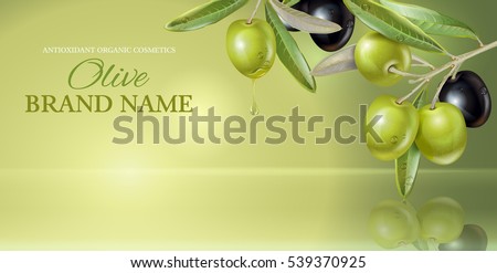 Vector horizontal banner with olive branch on green smooth background with reflection. Design for olive oil, natural cosmetics, health care products. With place for text and your product image Royalty-Free Stock Photo #539370925