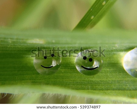 Smiley faces on a water drop on a leaf