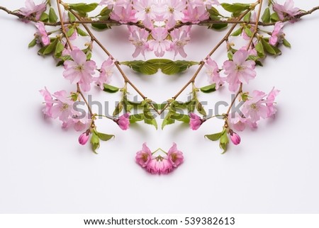 Abstract arrangement of flowers overhead view. Flat lay of petals creative bohemian mandala for social media timeline, invitation greeting card, vintage wedding blog. Image with symmetry filter effect