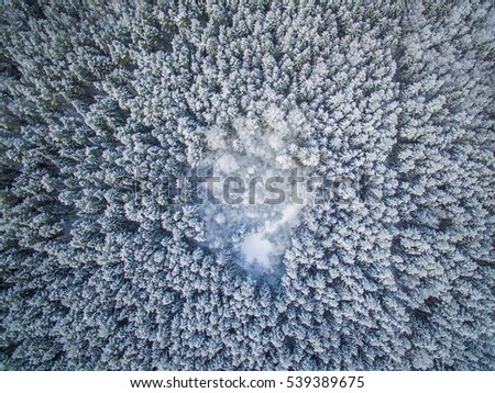 Aerial photo winter forest and a small frozen lake. Royalty-Free Stock Photo #539389675