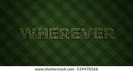 WHEREVER - fresh Grass letters with flowers and dandelions - 3D rendered royalty free stock image. Can be used for online banner ads and direct mailers.
