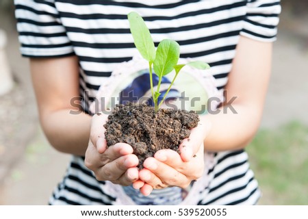 Hand and plant