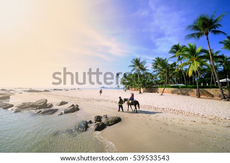 Horse on the Hua Hin beach Thailand. Royalty-Free Stock Photo #539533543