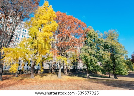 Autumn Color: Fall Foliage in Central Park, Manhattan New York