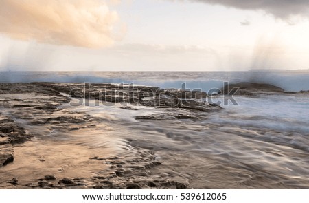 Rocks by the ocean, Bondi Beach Australia