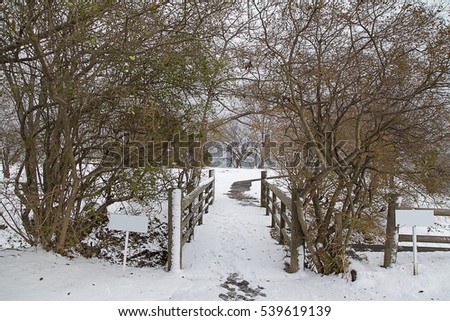 Snowfield in winter season. A beautiful scene in white color.