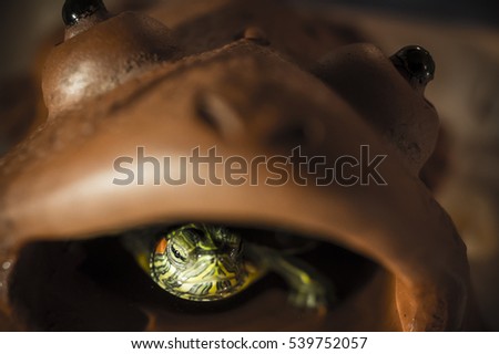 Turtle with Frog