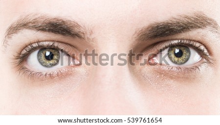 it's all in the eyes Royalty-Free Stock Photo #539761654
