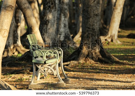Lonely Chair under Sunshine in the Woods