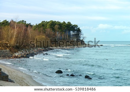 The sandy shore of the sea. Pine forest on the seashore. Waves on the Baltic Sea.