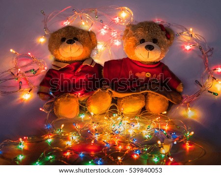 Two Teddy bears with Christmas lights.