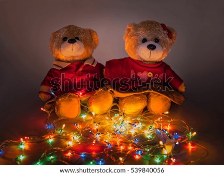 Two Teddy bears with Christmas lights.