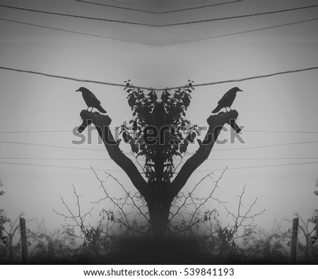Mystical picture crow on tree