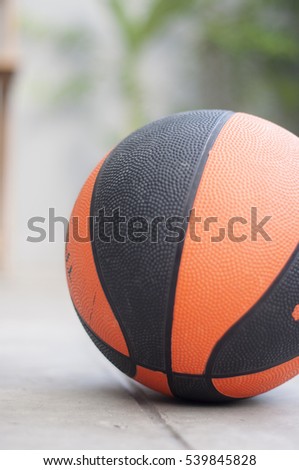 Basketball isolated on the ground with green plant background as a sports and fitness symbol of a team leisure activity playing with a leather ball dribbling and passing in competition tournaments.