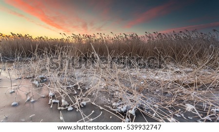 Winter landscape at frozen bay of Puck. Warm light of sunrise early morning. Poland.