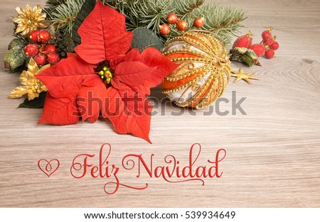 Wooden background with poinsettia and decorated Christmas tree twigs, text on the picture means "Merry Christmas" in Spanish