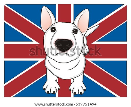 white bull terrier stand on the middle of British flag