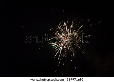 Fireworks light up the sky - exploding firework