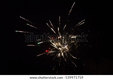 Fireworks light up the sky - exploding firework