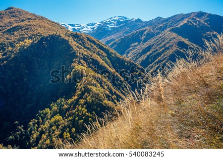 The mountains in the Georgia of autumn. Royalty-Free Stock Photo #540083245