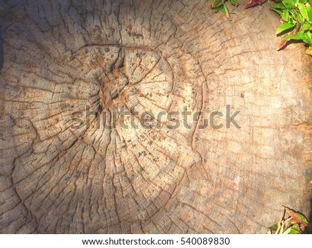 Artificial wood texture made from concrete for background and texture.