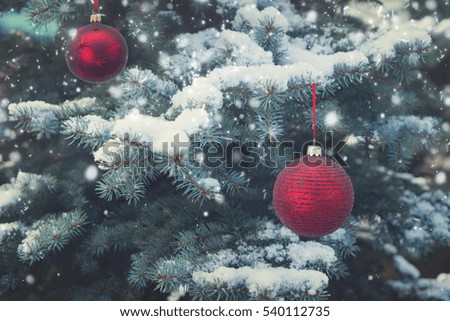 Winter with green spruce tree an two red balls in snow, retro toned
