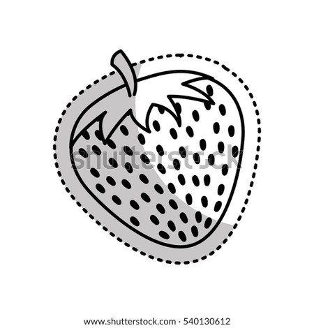 fresh fruit drawing icon vector illustration design