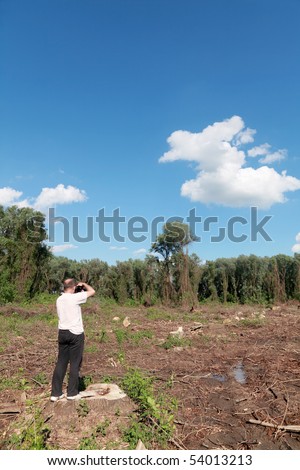 Photographer taking pictures of freshly sawed   trees