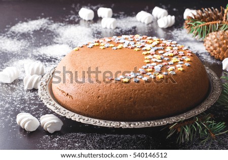 Traditional Homemade chocolate Christmas cake with sugar stars and marshmallow, new year decoration with snow
