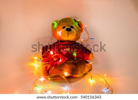 Teddy bear with Christmas lights.