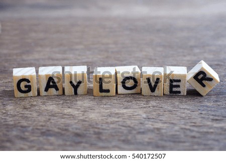 An imprinted wood blocks displaying the word " GAY LOVER "  on wooden background.