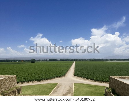 Mountains landscape of Mendoza. Stunning vineyards and harmony. Royalty-Free Stock Photo #540180952